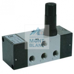 Temporizatoare pneumatice
